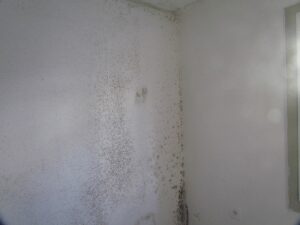 Removing mold