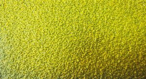 נגד החלקה אפוקסי גס לחספוס עבה www.denber.net